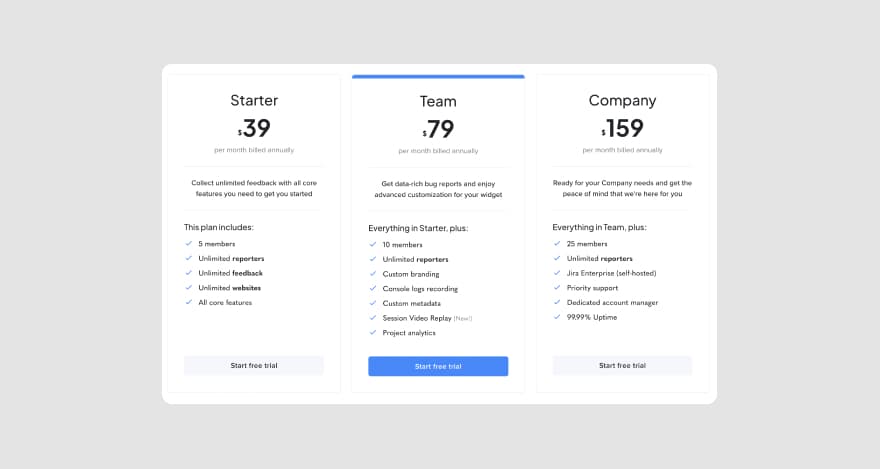Marker.io's pricing.