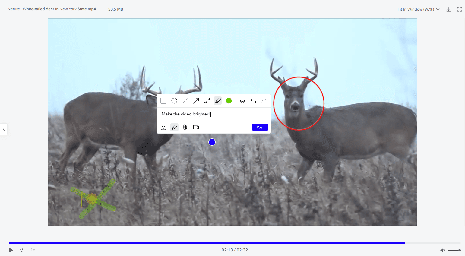 Freehand drawing annotations added to a video frame in MarkUp.io