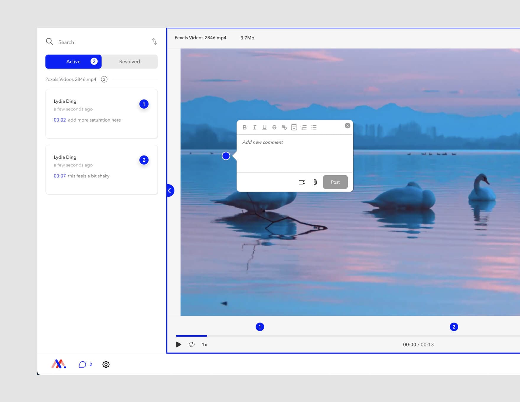 Video production best practices - how to leave a comment on a video of swans with Video MarkUps.