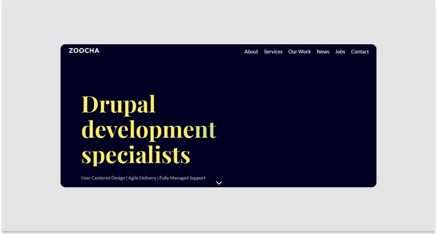 Screenshot of Zoocha’s website
