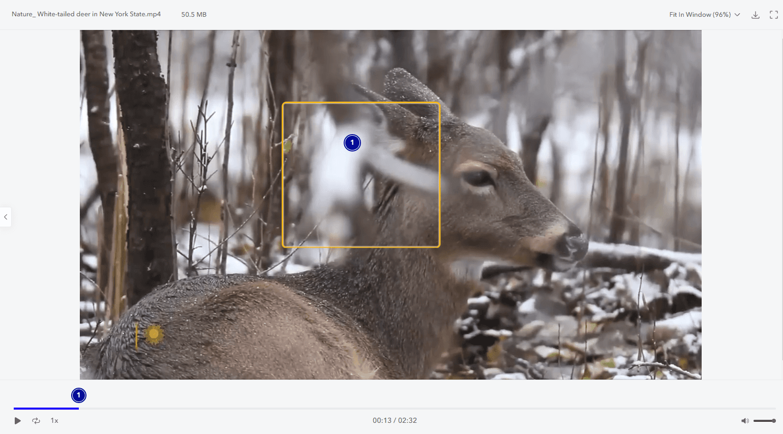 The shape tool used to highlight an area of a video frame in MarkUp.io