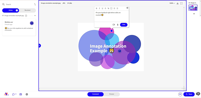 An example of image annotation on MarkUp.io 